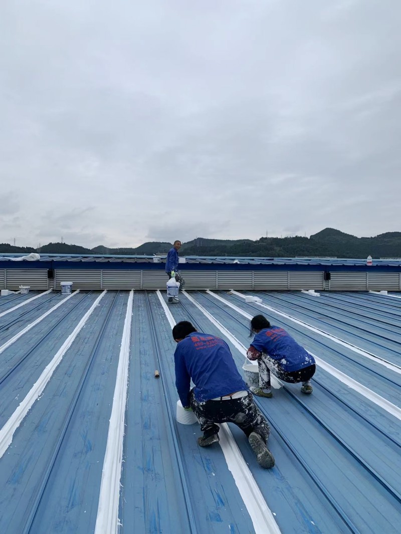 conew_微信圖片_20251023175353_2420_27.jpg